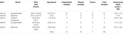 An Epigenetic Aging Clock for Cattle Using Portable Sequencing Technology